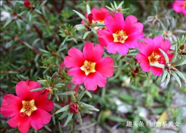 治愈系美女：文艺走心的句子，写的精辟，一句顶一万句