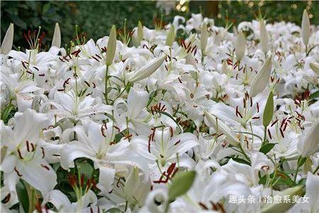 治愈系美女：文艺走心的句子，写的精辟，一句顶一万句