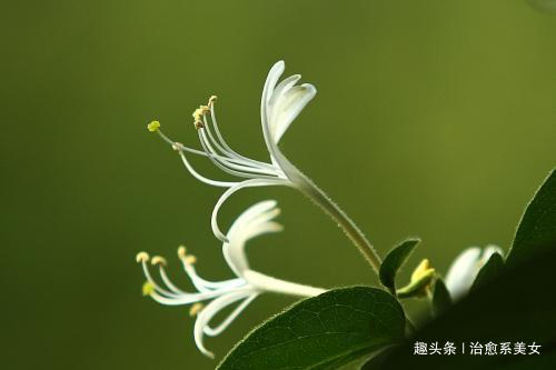 治愈系美女■2019最新微信个性签名，超经典超走心，绝对值得一看