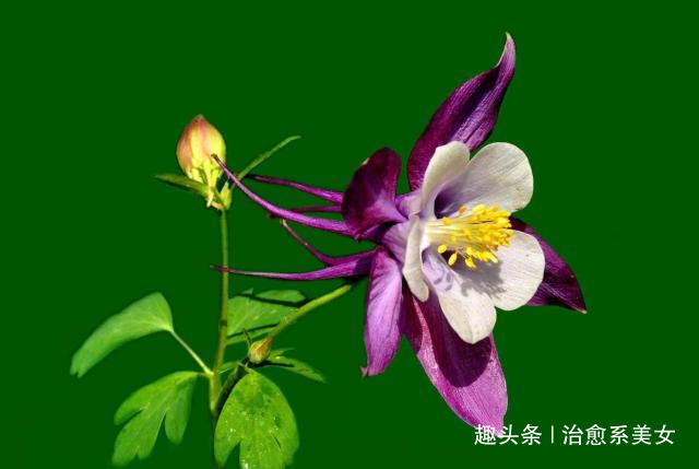 治愈系美女■2019最新微信个性签名，超经典超走心，绝对值得一看