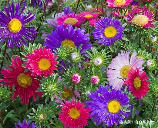 治愈系美女■2019最新微信个性签名，超经典超走心，绝对值得一看