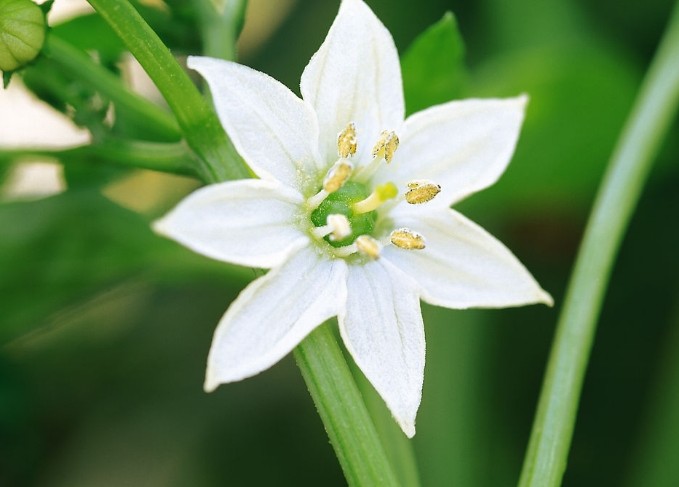 「不可思议的科技」天生“直男癌”的三生肖男，经常把老婆气哭，从来不懂心疼人