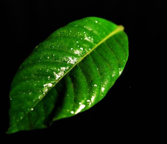 成功职场宝典：真正心苦的人，往往心如止水