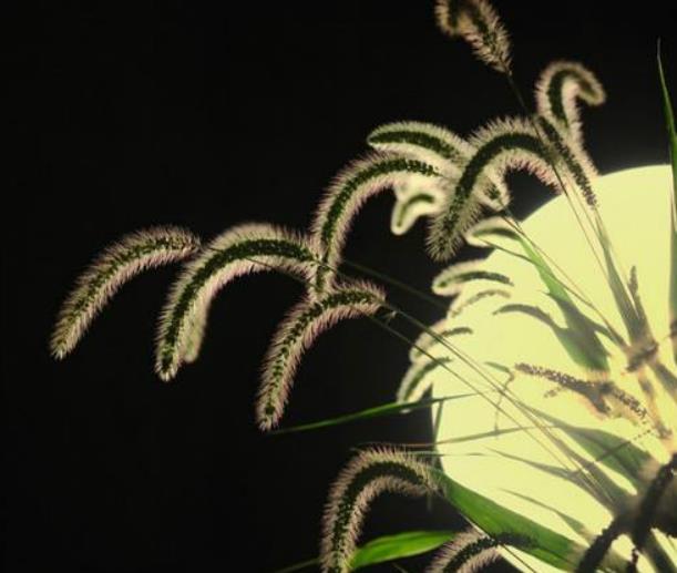 成功职场宝典：真正心苦的人，往往心如止水