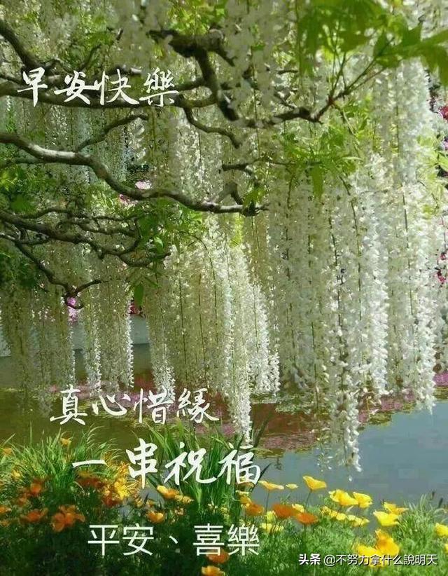 「佳作有约」阳光暖心的朋友圈早上好祝福语动态图片