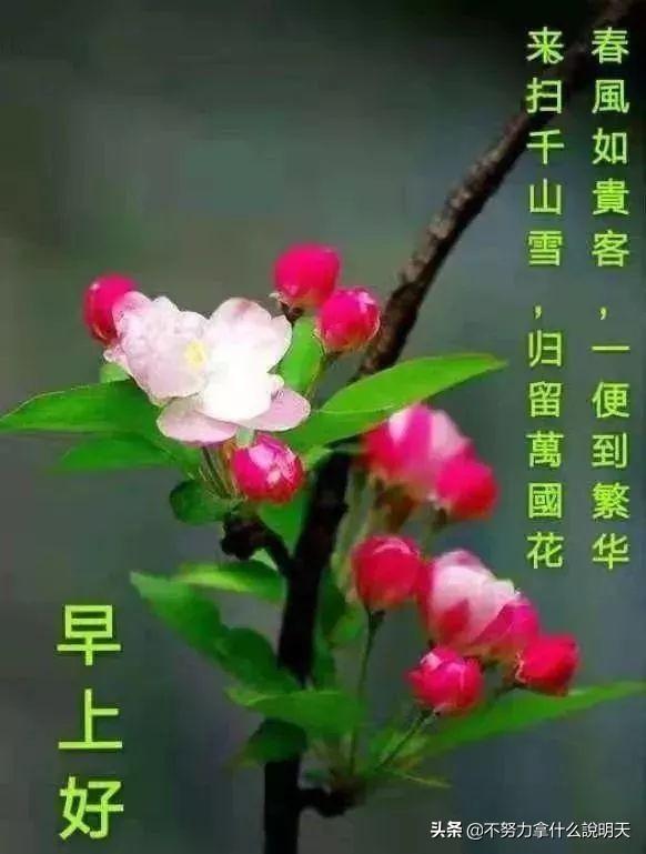 「佳作有约」阳光暖心的朋友圈早上好祝福语动态图片