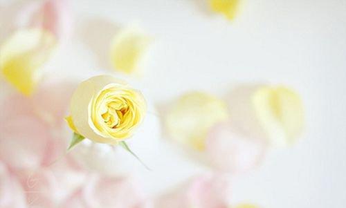 校园留声机■早安心语：生活，需要追求；梦想，需要坚持；生命，需要珍惜