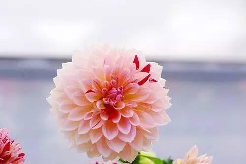 校园留声机■早安心语：生活，需要追求；梦想，需要坚持；生命，需要珍惜