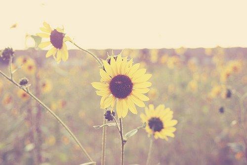 校园留声机■早安心语：生活，需要追求；梦想，需要坚持；生命，需要珍惜