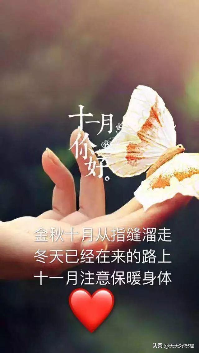 励志的晓莉：十一月早上好问候语阳光句子 早上好祝福图片表情