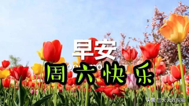 励志的晓莉：十一月早上好问候语阳光句子 早上好祝福图片表情