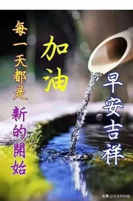 励志的晓莉：十一月早上好问候语阳光句子 早上好祝福图片表情