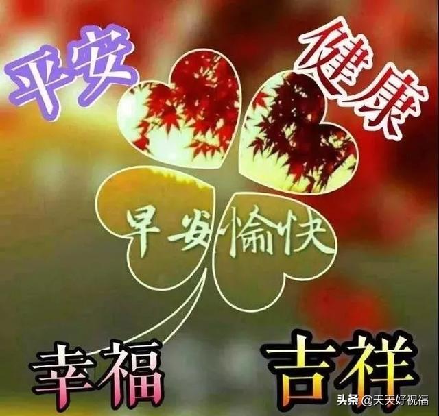 励志的晓莉：十一月早上好问候语阳光句子 早上好祝福图片表情