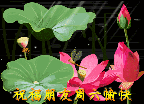 励志的晓莉：十一月早上好问候语阳光句子 早上好祝福图片表情