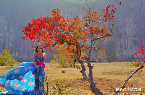 雨文缘@余生，记得要快乐，把日子过成自己喜欢的模样！