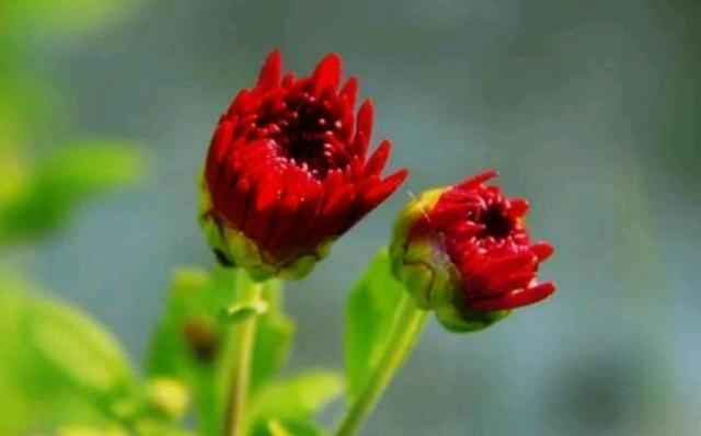 吴下阿蒙2：爱到骨子里的人，在与不在身边，依然爱着