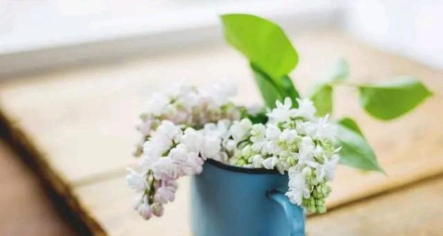 吴下阿蒙2：爱到骨子里的人，在与不在身边，依然爱着