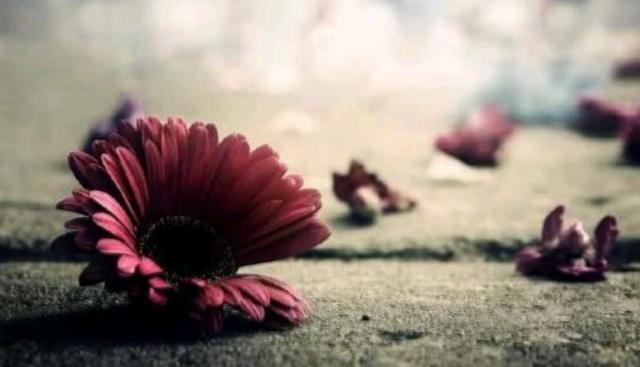 吴下阿蒙2：爱到骨子里的人，在与不在身边，依然爱着