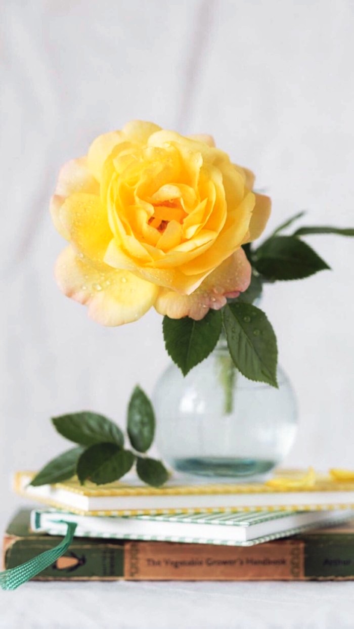 生活万万千■适合发说说的精致句子，深刻走心，意义深远