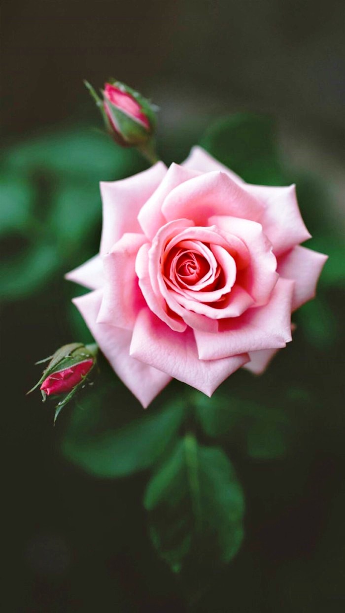 生活万万千■适合发说说的精致句子，深刻走心，意义深远