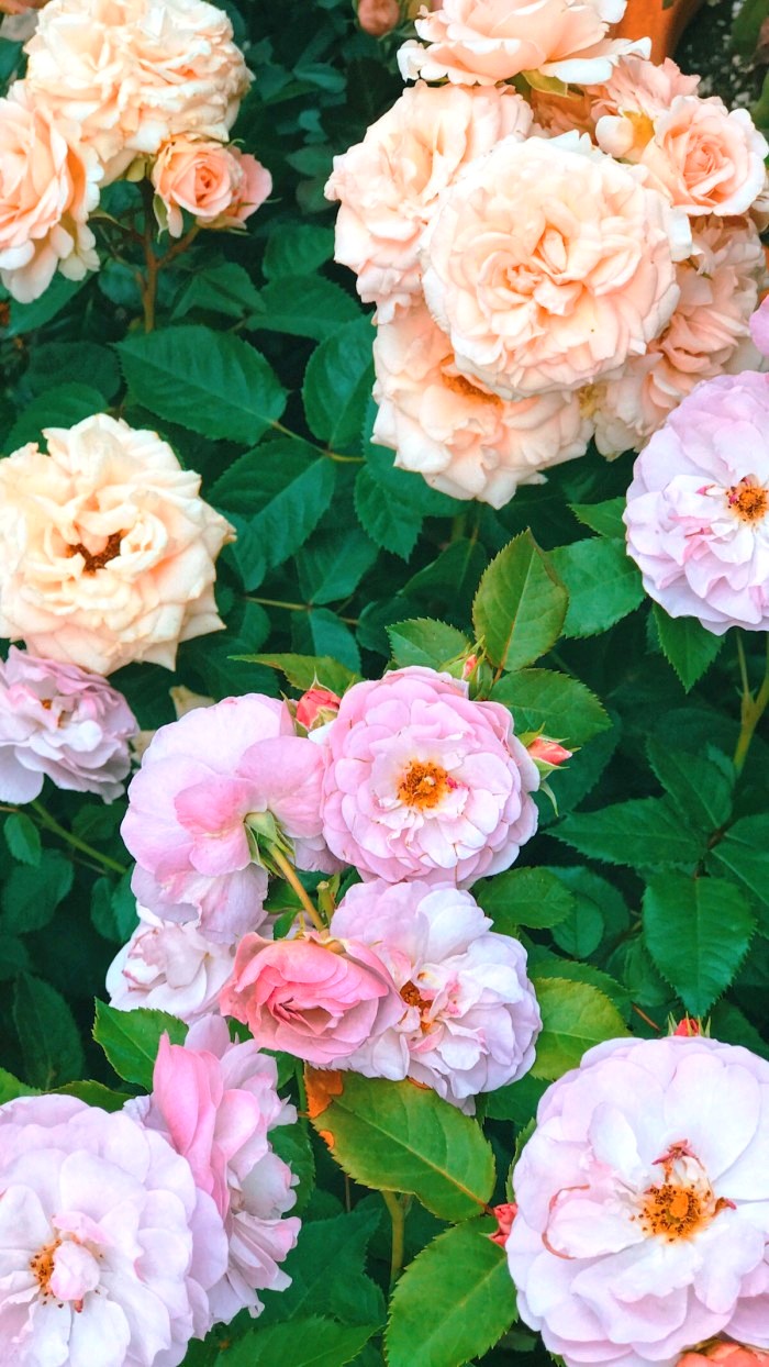 生活万万千■适合发说说的精致句子，深刻走心，意义深远