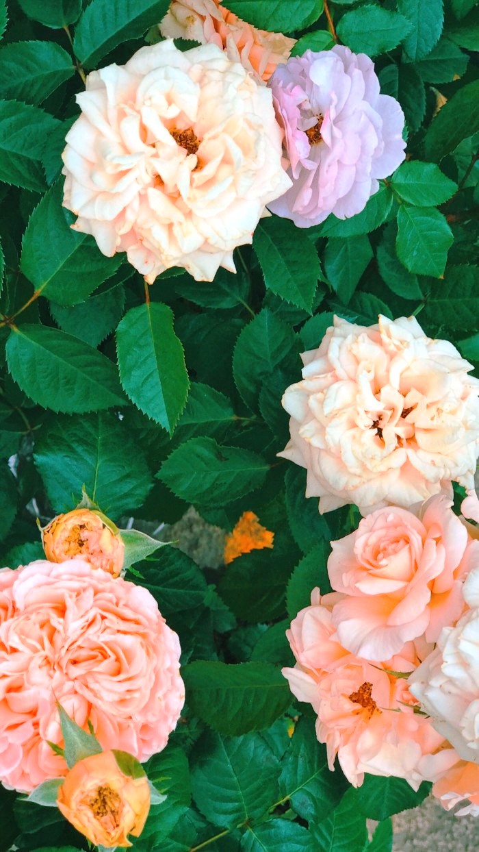 生活万万千■适合发说说的精致句子，深刻走心，意义深远