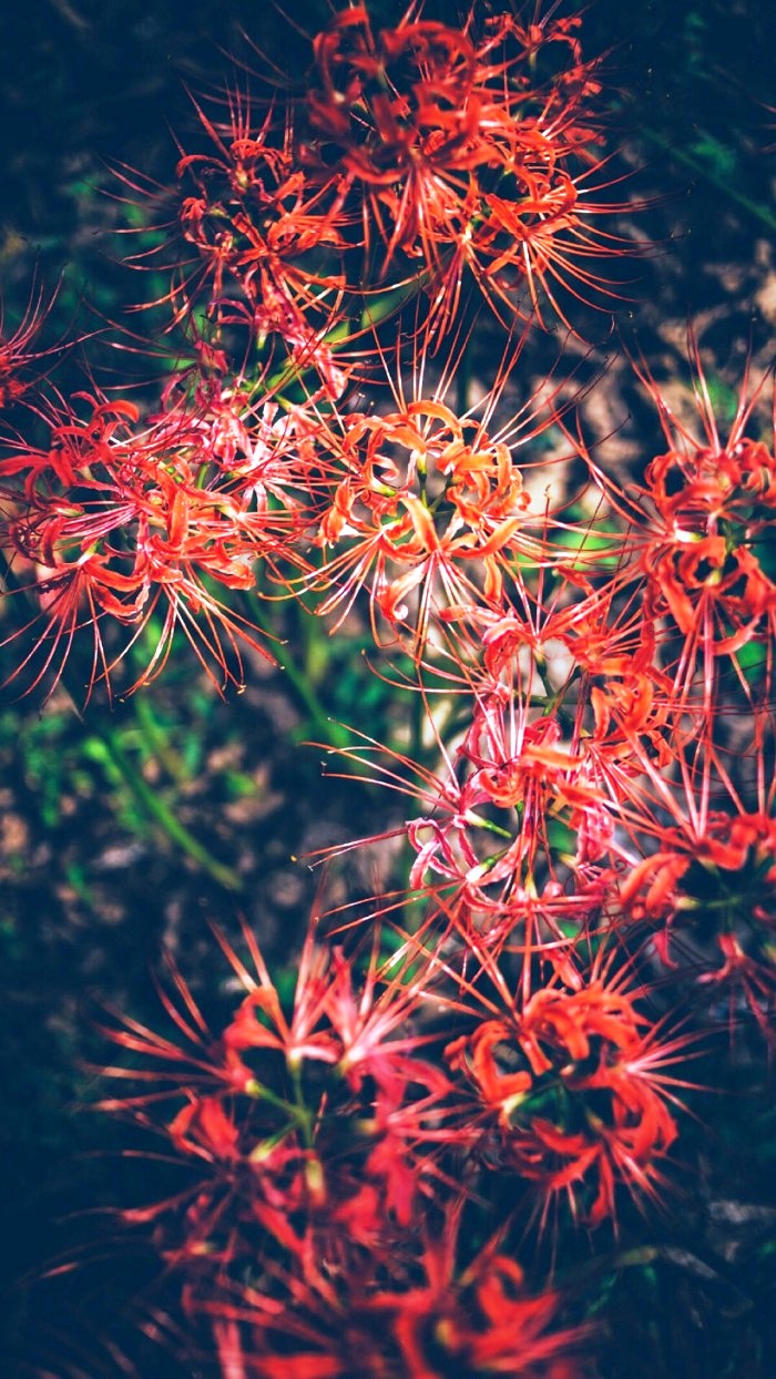 生活万万千■适合发说说的精致句子，深刻走心，意义深远