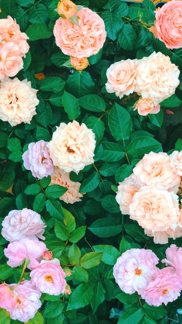 生活万万千■适合发说说的精致句子，深刻走心，意义深远