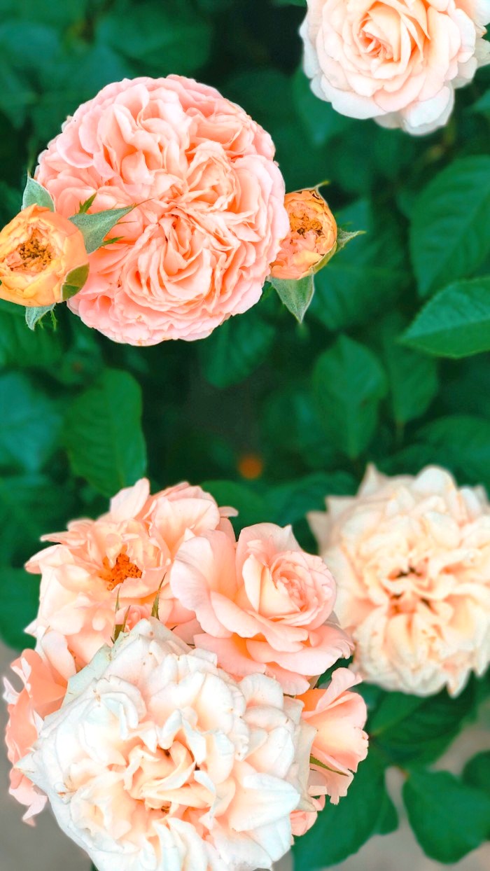 生活万万千■适合发说说的精致句子，深刻走心，意义深远