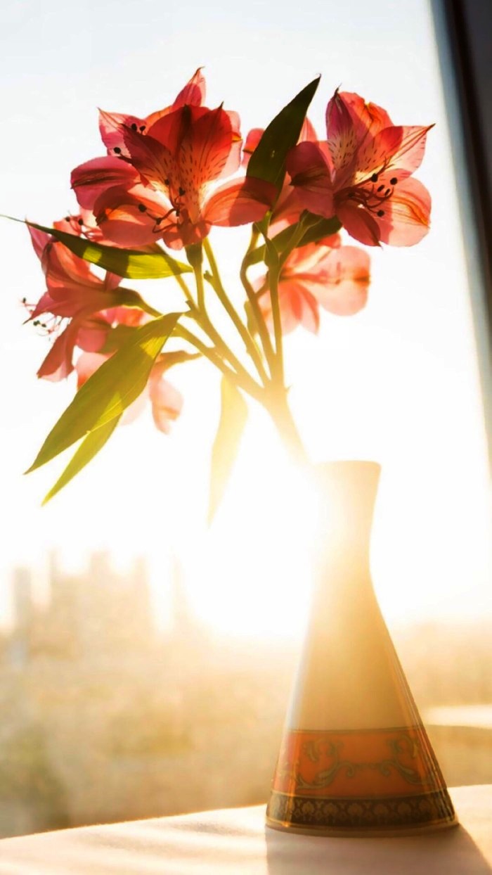 生活万万千■适合发说说的精致句子，深刻走心，意义深远