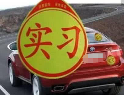 「雪饼开车」费心费力取得驾照，却不敢开车上路怎么办？老司机来教你