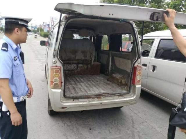 「汽车小涛」后备箱拉几箱水果罚200？车主愤愤不平，我要这车有啥用？