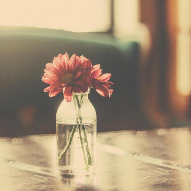 「小小的小趣事」姥姥说：有几种亲戚没必要多走动