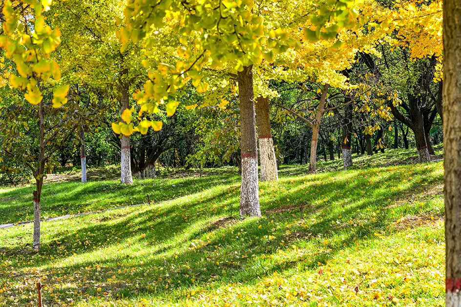 微言职场■工作中很多人不当前三名，不当后三名，第四名成最佳结果是为何？