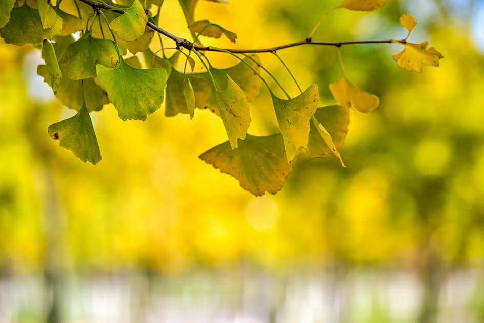 微言职场■工作中很多人不当前三名，不当后三名，第四名成最佳结果是为何？