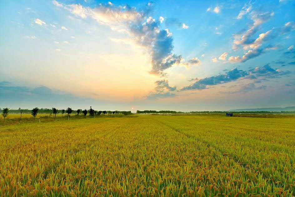 微言职场■工作中很多人不当前三名，不当后三名，第四名成最佳结果是为何？