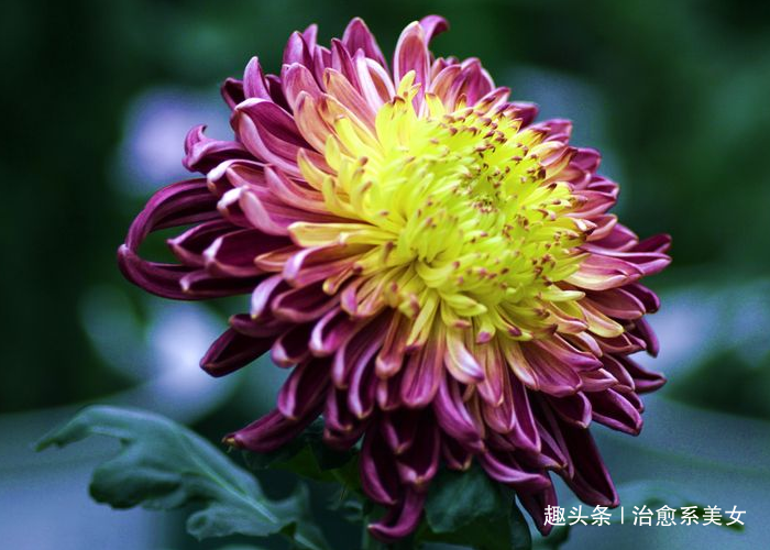 治愈系美女■那些富有哲理的句子，精辟经典，看完明白了不少