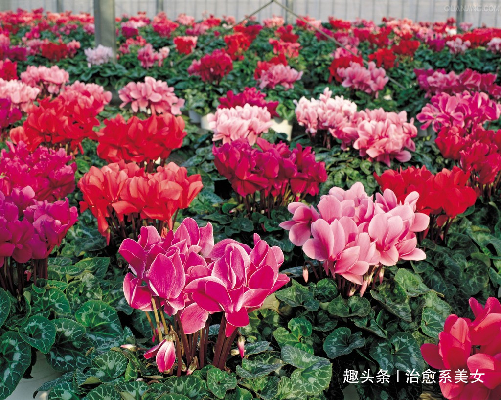 治愈系美女■那些富有哲理的句子，精辟经典，看完明白了不少