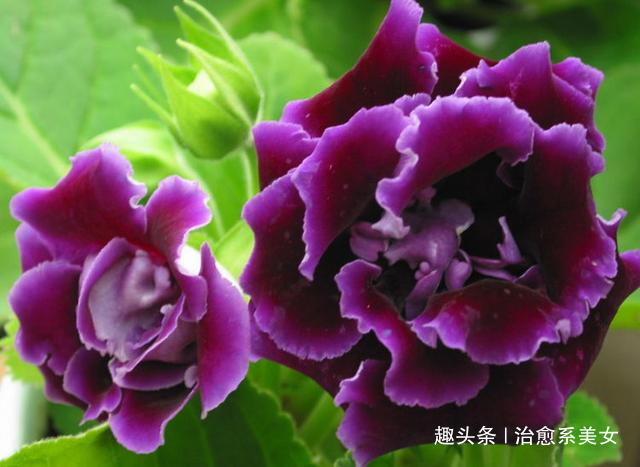 治愈系美女■那些富有哲理的句子，精辟经典，看完明白了不少