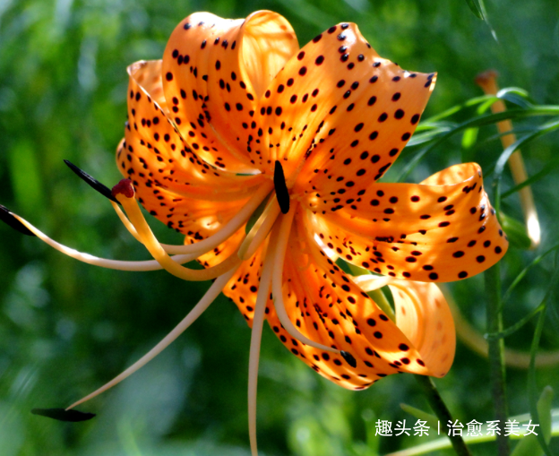 治愈系美女■那些富有哲理的句子，精辟经典，看完明白了不少