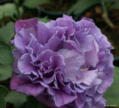 治愈系美女■那些富有哲理的句子，精辟经典，看完明白了不少