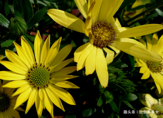 治愈系美女■那些富有哲理的句子，精辟经典，看完明白了不少