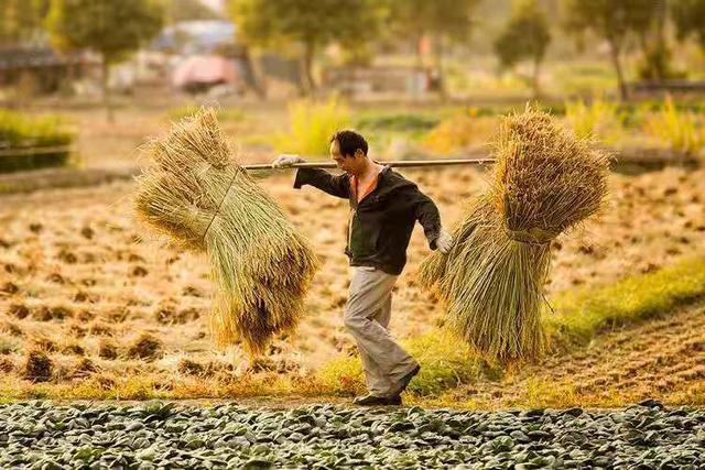 「小虾驿站」我们注定是孝顺父母的最后一代，也是被儿女抛弃的第一代