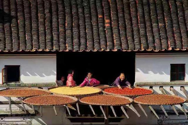 「小虾驿站」我们注定是孝顺父母的最后一代，也是被儿女抛弃的第一代