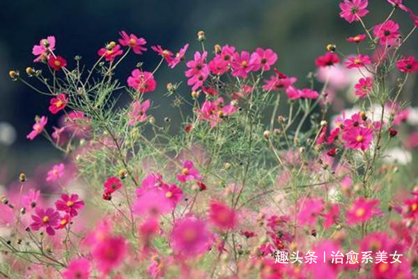 [治愈系美女]致自己的12句经典说说，总有一句触动你的心弦，让人陶醉