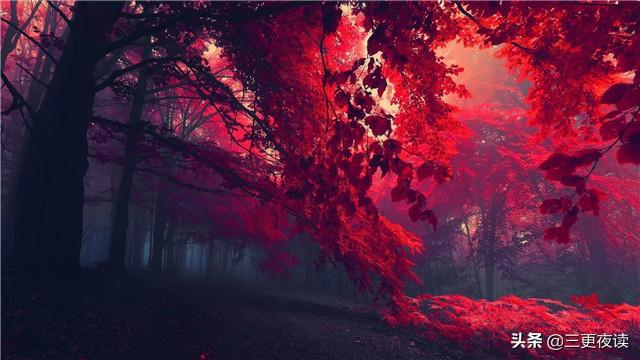 「三更夜读」做人低调方优雅，做事高调才优秀