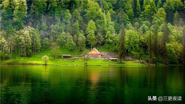 「三更夜读」做人低调方优雅，做事高调才优秀