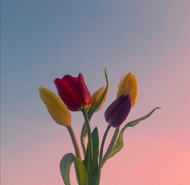 「喵咕玥的n次方」青春这场不散，我们不老，让我们与时光同步