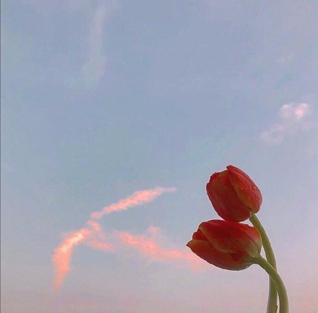 「喵咕玥的n次方」青春这场不散，我们不老，让我们与时光同步