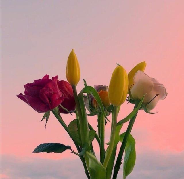 「喵咕玥的n次方」青春这场不散，我们不老，让我们与时光同步